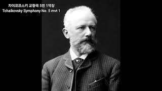 차이코프스키 교향곡 5번 Tchaikovsky Symphony No 5 [upl. by Leroj]