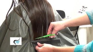 How to Straight Cut Hair  Step by Step Tutorial Back Tutorial [upl. by Fleisig]