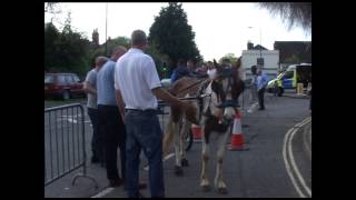 Wickham Horse Fair 2013 [upl. by Cecile]