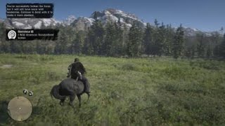 Red Dead Redemption 2  RDR2  HORSEMAN 10 CHALLENGE  WILD AMERICAN STANDARDBRED  LOCATION  HORSE [upl. by Nema]