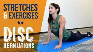 Exercises amp Stretches for Disc Herniations [upl. by Nick]