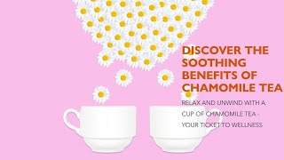 Discover the Top 10 Benefits of Chamomile Tea [upl. by Eveivenej]