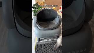 Automatic litter box CatProducts catcatlitterbox Petproducts couple neakasa Raisecats [upl. by Gaw]