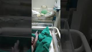 Muconium aspiration syndrome baby trending beautiful babycare viral video support [upl. by Roddie]