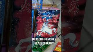 Dragon Fireworks  Blaze of Glory 16 shots NewYear2021 [upl. by Holofernes106]