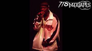 Inspectah Deck  Nasty Freestyle [upl. by Telford585]