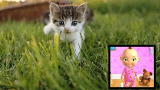 Babsy Baby and Sweet Kitten Baby Cats  Cute and Funny [upl. by Elockcin]