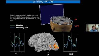 Rainer Goebel Mesoscale UHF fMRI in humans [upl. by Sigismund705]