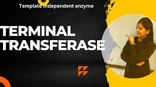 Terminal deoxynucleotidyl Transferase enzymecsirnet [upl. by Man]