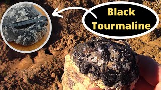 Schorl  Prospecting for Pegmatite [upl. by Ttesil119]