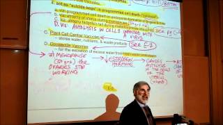 BIOLOGY CYTOLOGY PART 3 by Professor Fink [upl. by Dweck]