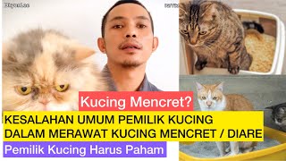 MERAWAT KUCING MENCRET  Mengobati Kucing Mencret  Mengobati kucing diare kesalahan merawat kucing [upl. by Sande]