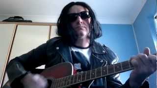 Sheena Is a Punk Rocker Ramones acoustic cover [upl. by Noonan]