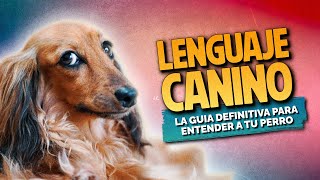 LENGUAJE CANINO la guía definitiva para entender a tu perro lenguajecanino comunicacioncanina [upl. by Gary693]