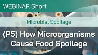 Webinar Short Microbial Spoilage Part 5 How Microorganisms Cause Food Spoilage [upl. by Det]