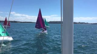 Sail Auckland 2016  Hansa Liberty Start [upl. by Celisse44]