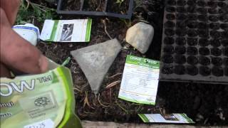 Amazing Mycorrhizal Fungi for growing Vegetables [upl. by Margery63]