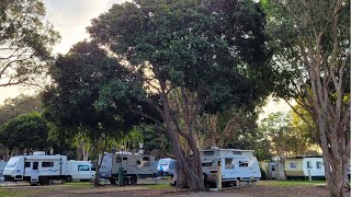 Mudjimba Beach Holiday Park [upl. by Wyler469]