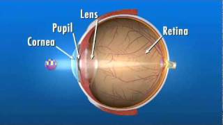 How the Eye Works [upl. by Esma]