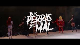 Perras del Mal Gira 2023 [upl. by Alegnad]