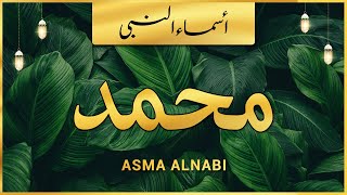 Asma ul Nabi  Names of Prophet Muhammad SAW  اسماء النبی ﷺ [upl. by Noissap]