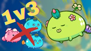 Numbing Lechon Plant Gameplay vs Double Anemone Bird  AAB Killer  Axie Infinity [upl. by Ddart428]