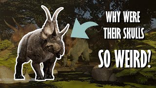 Everything you need to know about Ceratopsians [upl. by Toh559]