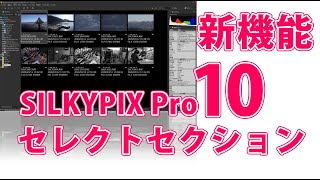 SILKYPIX Pro10のセレクトセクション機能【RAW現像】 [upl. by Leind21]