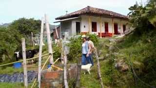 Don Fabio hizo de su finca su empresa Escuela de campo Capítulo completo [upl. by Lain534]