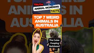 Fascinating Facts About Wombats animalwonders [upl. by Aizan]