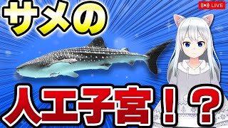 【獣医が解説】サメの人工子宮が完成 動物たちの面白繁殖【北国ここなの動物研究室】 [upl. by Graham]