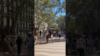 La rambla song music status ❤️❤️❤️ [upl. by Nigrom]