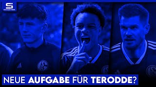 Transfers nicht von Ouedraogo abhängig Junger Kader durch Manga Grüger wird Profi  S04 NEWS [upl. by Catima]