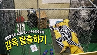 방탈출하기 철창을 넘어 감옥을 탈출하라  허팝 Escape the Prison Cage [upl. by Xad]