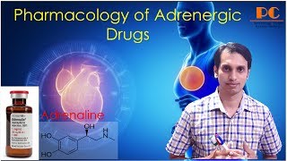 Sympathomimetics Pharmacology Part 2  Adrenergic Drugs Pharmacology  Adrenaline Pharmacology [upl. by Vinny222]