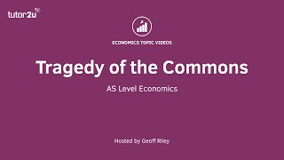 Explaining the Tragedy of the Commons  A Level and IB Economics [upl. by Akerue]