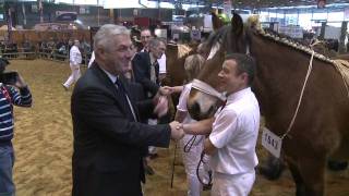 Concours de chevaux Trait Auxois HD [upl. by Anayik]