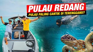 Menyelam dengan Penyu di Taman Laut Pulau Redang [upl. by Ecallaw]