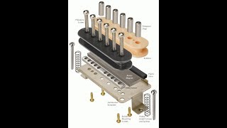 The Differences Between Alnico Guitar Pickups [upl. by Lezah]