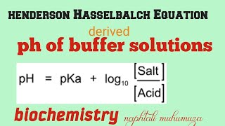 pH of Buffer solutions  Henderson Hasselbalch Equation [upl. by Seana]