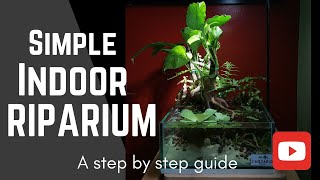 Simple Indoor Riparium Step by step guide [upl. by Neom]