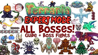 Terraria All Bosses In Order Expert Mode Guide amp Fights Easiest to Hardest How to Spawn Them [upl. by Brechtel]