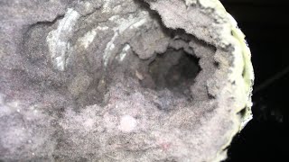 Energy Bill Too HIGH DO THIS dryer Vent Cleaning almetaldryervent satisfying fyp diy asmr [upl. by Aiello343]