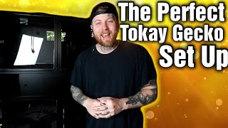 I Turned Zen Habitats Into The PERFECT Tokay Breeding Set Up Heres How [upl. by Ola]