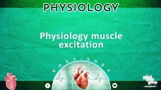 L3 Muscle excitation contraction coupling Physiology [upl. by Ileana]