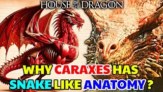 Caraxes Dragon Anatomy – Why Daemons Dragon Has Snake Like Physiology Different Than Other Dragons [upl. by Hemminger989]