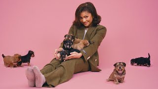 Zendaya The Puppy Interview [upl. by Gardol]