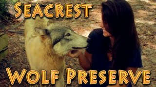 Travel Seacrest Wolf Preserve Chipley Florida 04162016 [upl. by Ahsineg]