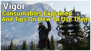 Consumables Explained and Tips On How To Us Them  Vigor [upl. by Nagy946]