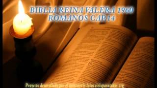 Biblia HabladaBIBLIA REINA VALERA 1960 ROMANOS CAP 14 [upl. by Eseerehc]